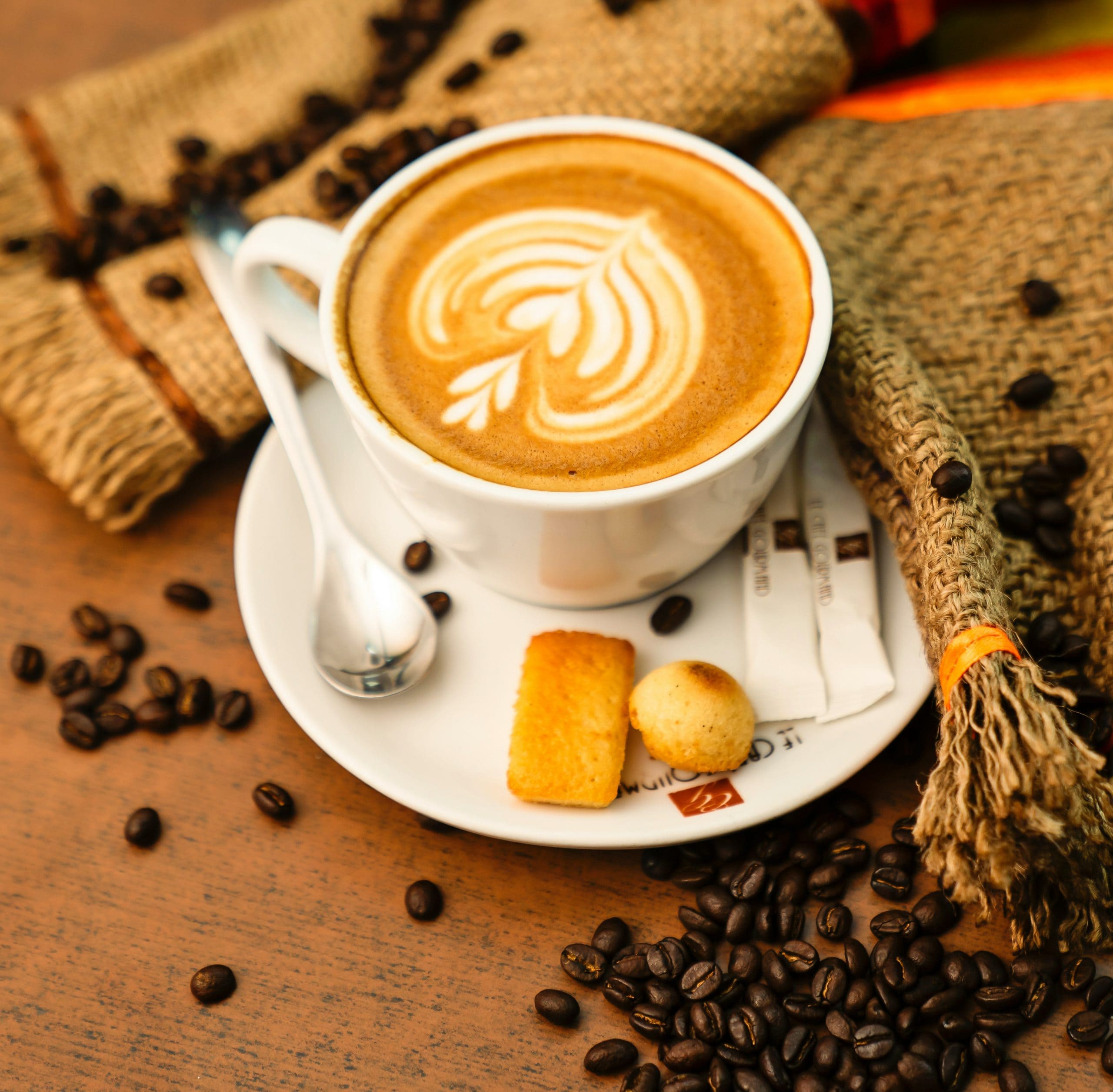 caffe-BerTO