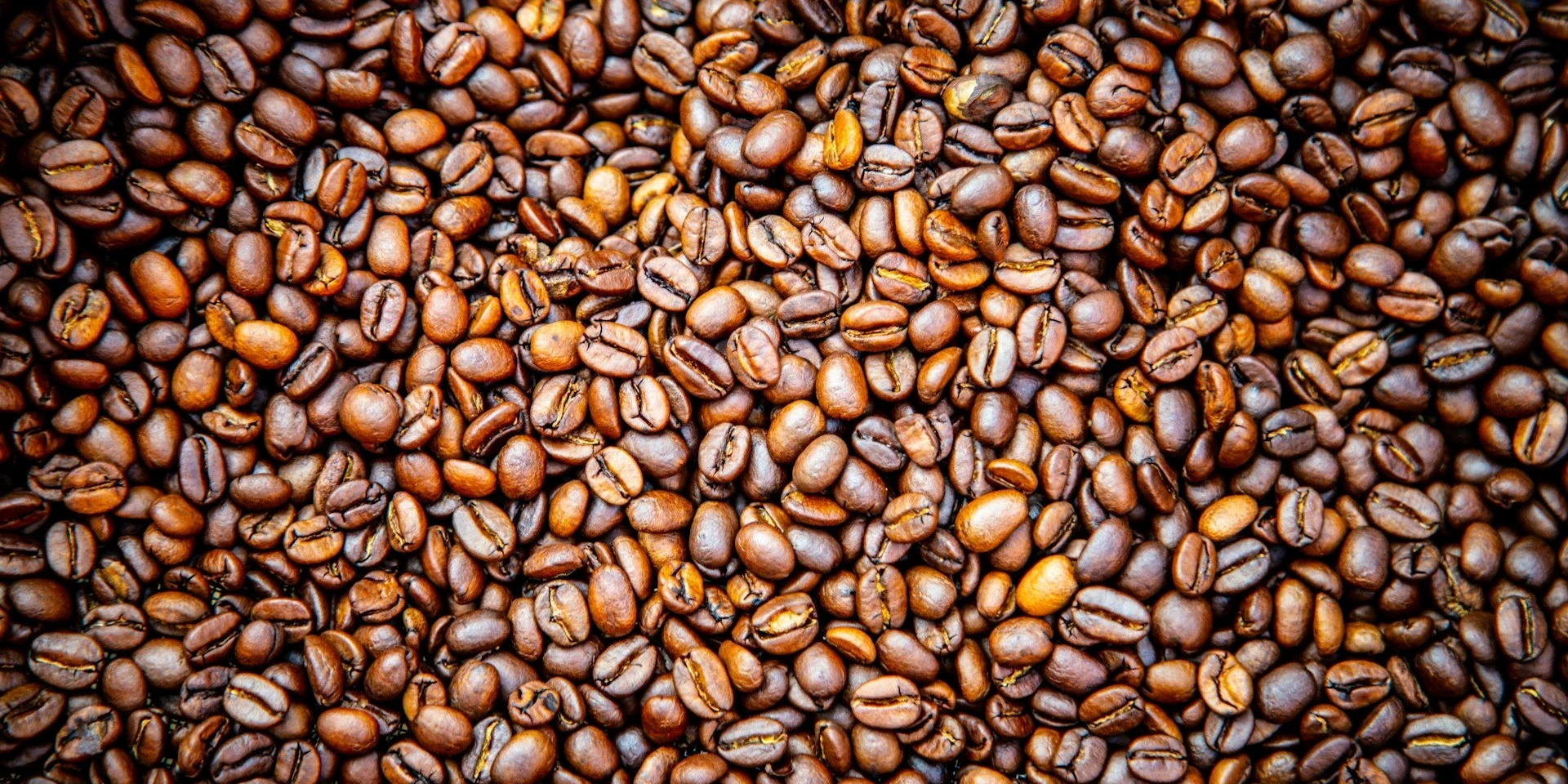 caffe-berto-in-grani