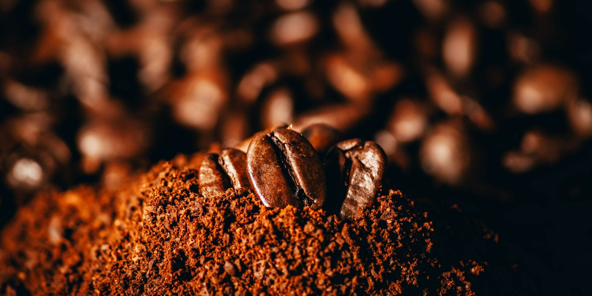 caffe-macinato-caffe-berto
